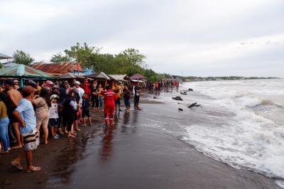 Tim SAR melakukan pencarian korban tenggelam di Pantai Anging Mamiri, Kelurahan Tanjung Bayang, Kecamatan Tallo, Kota Makassar, Minggu (16/1/2022).