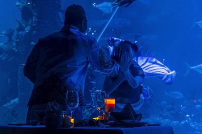 Sejumlah penyelam melakukan atraksi liong bawah air di Jakarta Aquarium & Safari (JAQS), Jakarta, Kamis (27/1/2022).