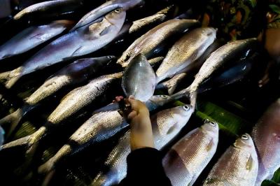 Pedagang ikan bandeng saat melayani pembeli untuk disajikan sebagai hidangan khas saat Hari Raya Imlek di Jakarta Barat, Minggu (30/1/2022).