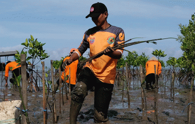 Anggota Basarnas bersama masyarakat nelayan menanam bibit mangrove di kawasan Pantai Untia, Biringkanaya, Makassar, Sulawesi Selatan, Jumat (4/2/2022).