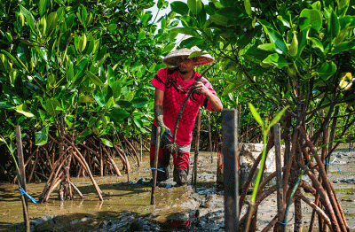 Anggota Basarnas bersama masyarakat nelayan menanam bibit mangrove di kawasan Pantai Untia, Biringkanaya, Makassar, Sulawesi Selatan, Jumat (4/2/2022).