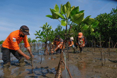 Anggota Basarnas bersama masyarakat nelayan menanam bibit mangrove di kawasan Pantai Untia, Biringkanaya, Makassar, Sulawesi Selatan, Jumat (4/2/2022).
