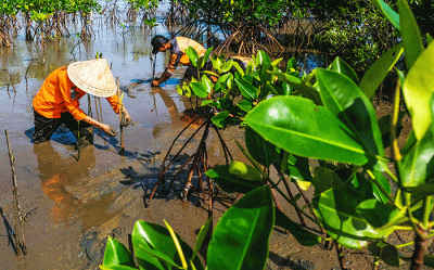 Anggota Basarnas bersama masyarakat nelayan menanam bibit mangrove di kawasan Pantai Untia, Biringkanaya, Makassar, Sulawesi Selatan, Jumat (4/2/2022).