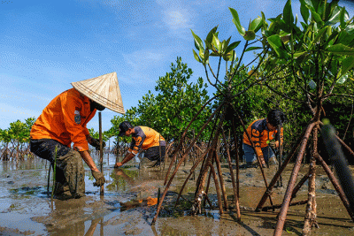 Anggota Basarnas bersama masyarakat nelayan menanam bibit mangrove di kawasan Pantai Untia, Biringkanaya, Makassar, Sulawesi Selatan, Jumat (4/2/2022).