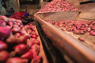 Suasana aktivitas jual beli di Pasar Induk Kramat Jati, Jakarta Timur, Selasa (8/2/2022).