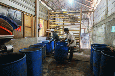 Suasana tanpa aktivitas produksi di salah satu pabrik tempe kawasan Cimanggis, Depok, Jawa Barat, Senin (21/2/2022).