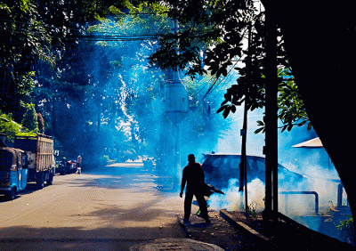 Petugas swadaya melangsungkan kegiatan fogging perumahan untuk pencegahan berkembang biaknya nyamuk Aedes aegypti di Kawasan Kebayoran Lama.