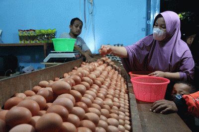Pedagang telur ayam melayani pembeli di kawasan Pasar Serdang Kemayoran, Jakarta, Sabtu (5/3/2022).