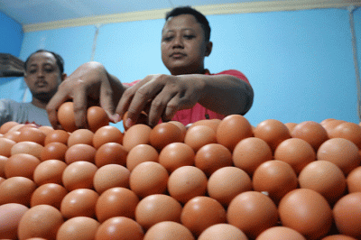 Pedagang telur ayam melayani pembeli di kawasan Pasar Serdang Kemayoran, Jakarta, Sabtu (5/3/2022).