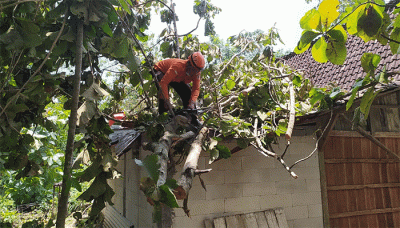 Angin kencang mengakibatkan rumah warga di Kabupaten Grobongan, Provinsi Jawa Tengah, rusak sedang dan ringan.