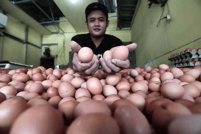 Penjual telur melayani pembeli di Pasar Kecapi, Kota Bekasi, Jawa Barat, Rabu (30/2/2022).