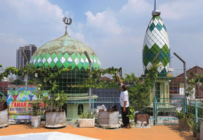 Pengurus merawat tanaman anggur di rooftop Masjid Hubbul Wathon, Cempaka Putih, Jakarta Pusat, Selasa (5/4/2022).