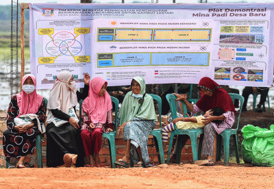 Ada 34 desa di Sumsel yang menjadi lokasi penelitian pengembangan sistem ini.