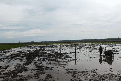 Ada 34 desa di Sumsel yang menjadi lokasi penelitian pengembangan sistem ini.