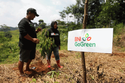 Pengelola Hutan Organik Megamendung Yuhan Subrata dan Perintis Hutan Organik Megamendung Rosita Istiawan saat menanam tanaman keras di kawasan Hutan Organik.