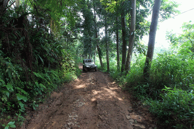 Pengelola Hutan Organik Megamendung Yuhan Subrata dan Perintis Hutan Organik Megamendung Rosita Istiawan saat menanam tanaman keras di kawasan Hutan Organik.