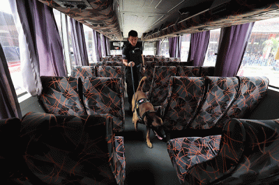 Petugas mengerahkan anjing pelacak K9 BNN untuk memeriksa bus di Terminal Kampung Rambutan, Jakarta, Rabu (27/4/2022).