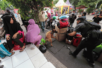 Petugas mengerahkan anjing pelacak K9 BNN untuk memeriksa bus di Terminal Kampung Rambutan, Jakarta, Rabu (27/4/2022).