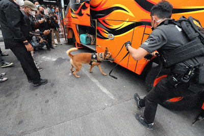 Petugas mengerahkan anjing pelacak K9 BNN untuk memeriksa bus di Terminal Kampung Rambutan, Jakarta, Rabu (27/4/2022).