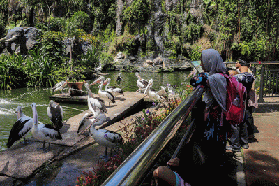 Pengunjung melihat Jerapah di Taman Margasatwa Ragunan, Jakarta Selatan, Selasa (3/5/2022).