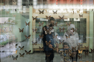 Sejumlah warga saat berkunjung di Dunia Air Tawar dan Museum Serangga, Taman Mini Indonesia Indah, Jakarta Timur, Senin (16/5/2022).