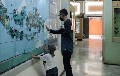 Sejumlah warga saat berkunjung di Dunia Air Tawar dan Museum Serangga, Taman Mini Indonesia Indah, Jakarta Timur, Senin (16/5/2022).