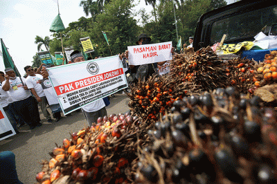 Sejumlah pengunjukrasa yang tergabung dalam Asosiasi Petani Kelapa Sawit Indonesia (Apkasindo) memperlihatkan buah sawit saat berunjuk rasa.
