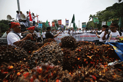 Sejumlah pengunjukrasa yang tergabung dalam Asosiasi Petani Kelapa Sawit Indonesia (Apkasindo) memperlihatkan buah sawit saat berunjuk rasa.