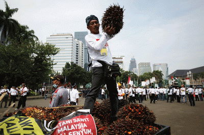 Sejumlah pengunjukrasa yang tergabung dalam Asosiasi Petani Kelapa Sawit Indonesia (Apkasindo) memperlihatkan buah sawit saat berunjuk rasa.