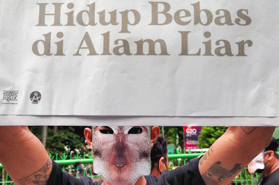 Pengunjuk rasa yang tergabung dalam Koalisi Monyet Ekor Panjang menggelar aksi damai di depan Kantor Kementerian Lingkungan Hidup dan Kehutanan, Jakarta.