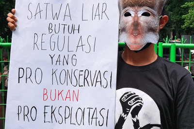 Pengunjuk rasa yang tergabung dalam Koalisi Monyet Ekor Panjang menggelar aksi damai di depan Kantor Kementerian Lingkungan Hidup dan Kehutanan, Jakarta.