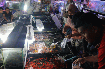 Suasana para pedagang ikan hias di kawasan Pasar Jatinegara, Jakarta, Sabtu (28/5/2022).