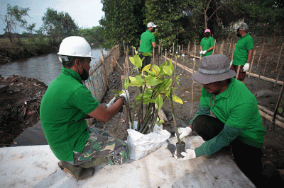 Direktur Utama PT Karya Citra Nusantara, Widodo Setiadi (kiri) menyerahkan bibit mangrove kepada petugas penanam.