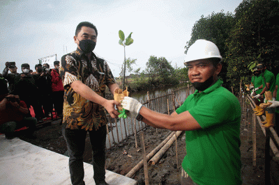 Direktur Utama PT Karya Citra Nusantara, Widodo Setiadi (kiri) menyerahkan bibit mangrove kepada petugas penanam.