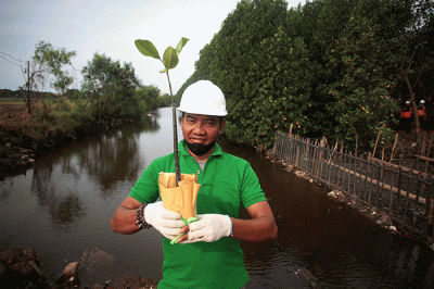 Direktur Utama PT Karya Citra Nusantara, Widodo Setiadi (kiri) menyerahkan bibit mangrove kepada petugas penanam.