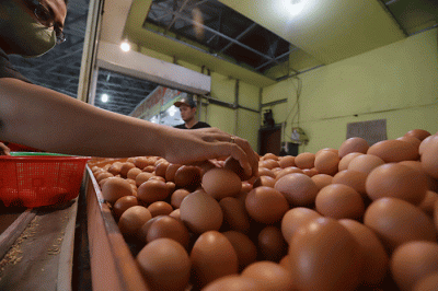 Pedagang menata telur di kawasan Pondok Melati, Kota Bekasi, Jawa Barat, Rabu (8/6/2022).