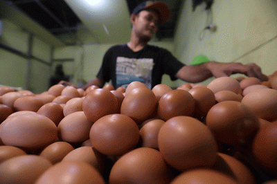 Pedagang menata telur di kawasan Pondok Melati, Kota Bekasi, Jawa Barat, Rabu (8/6/2022).