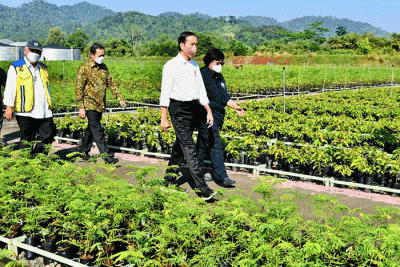 Presiden Joko Widodo meresmikan Persemaian Rumpin di Bogor, Jawa Barat, Jumat (10/6/2022).