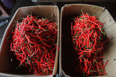 Pedagang saat merapikan cabai merah keriting di Pasar Induk Kramat Jati, Jakarta Timur, Jumat (10/6/2022).