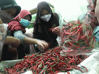 Warga memilih cabai keriting merah di Kota Bekasi, Jawa Barat, Senin (13/6/2022).