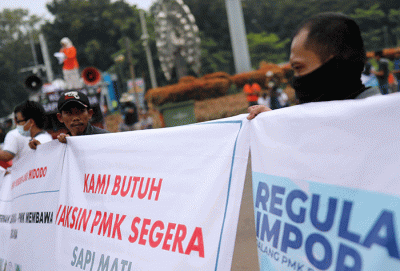 Puluhan Peternak Sapi yang tergabung dalam Komunitas Sapi Indonesia (KSI) melakukan aksi unjuk rasa di kawasan Patung Kuda, Jakarta Pusat, Rabu (15/6/2022).