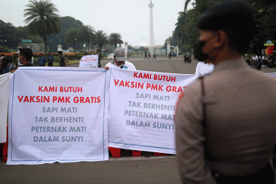Puluhan Peternak Sapi yang tergabung dalam Komunitas Sapi Indonesia (KSI) melakukan aksi unjuk rasa di kawasan Patung Kuda, Jakarta Pusat, Rabu (15/6/2022).