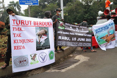 Puluhan Peternak Sapi yang tergabung dalam Komunitas Sapi Indonesia (KSI) melakukan aksi unjuk rasa di kawasan Patung Kuda, Jakarta Pusat, Rabu (15/6/2022).