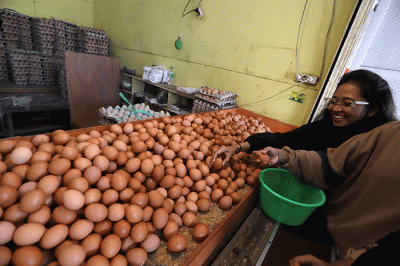 Pembeli memilih telur di kawasan Kota Bekasi, Jawa Barat, Jumat (17/6/2022).