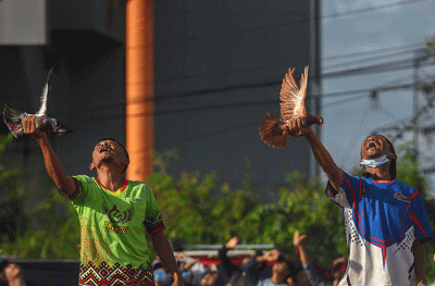Ribuan peserta dari 10 provinsi dan 20 kabupaten/kota di Indonesia mengikuti Festival Merpati Kolongan Bebas.