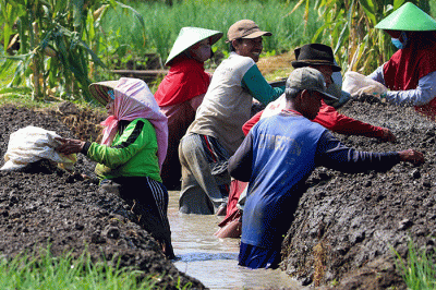 Petani saat menanam bawang merah di Larangan, Brebes, Jawa Tengah, Selasa (5/7/2022).