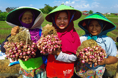 Petani saat menanam bawang merah di Larangan, Brebes, Jawa Tengah, Selasa (5/7/2022).
