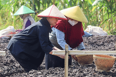 Ketua DPR RI Puan Maharani saat menanam bawang merah bersama para petani serta berdialog di Desa Larangan, Brebes, Selasa (5/7/2022).