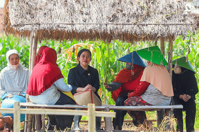 Ketua DPR RI Puan Maharani saat menanam bawang merah bersama para petani serta berdialog di Desa Larangan, Brebes, Selasa (5/7/2022).