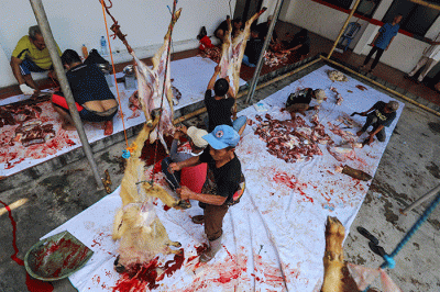Sejumlah warga memotong daging hewan kurban di Kantor Sekretariat Pimpinan Cabang Muhammadiyah (PCM) Tebet Barat, Jakarta Selatan, Sabtu (9/7/2022).